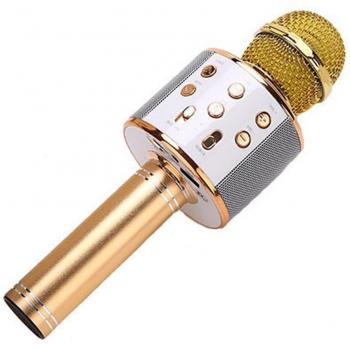 Wireless Bluetooth Karaoke Mikrofon mit Tragbarem Lautsprecher für iPhone – Weihnachten Singspielzeug