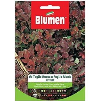 Taglio Rossa Lattuga a Foglia Riccia – Seme Organico