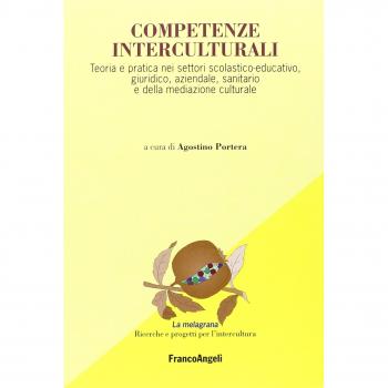 Competenze interculturali. Teoria e pratica nei settori scolastico-educativo, giuridico, aziendale, sanitario e della mediazione culturale