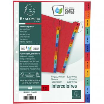 Pukka A4 Jan-Dec Multipunched Divider 120 Micron PP White