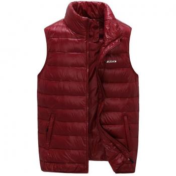 Slank Ontwerp Donsvest voor de Winter