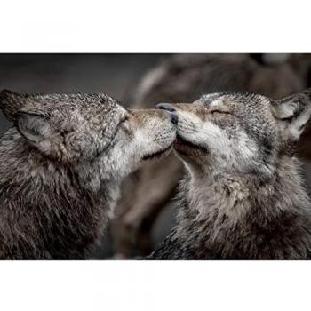 Peinture imprimée en HD Bisou de Loups 80x120 cm