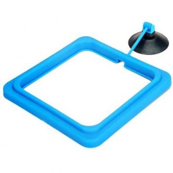 Anneau de nourrissage pour aquarium