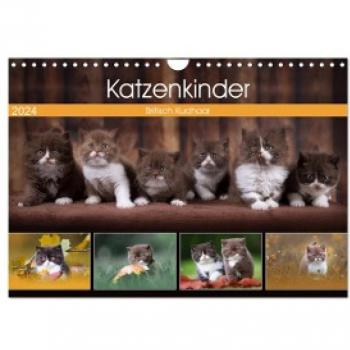 Katzenkinder