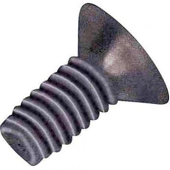 TOOLCRAFT LISEKO VIS Poly DIN966 M2,5X20 (10)