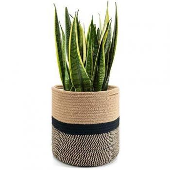 25cm Jute Garden Storage Box
