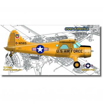 MWG144364 Beaver America Miniatuur
