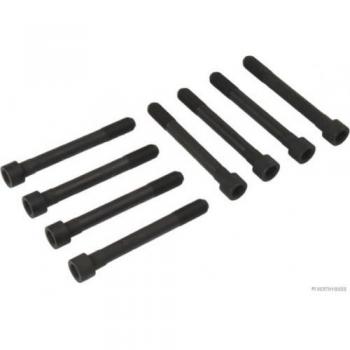 Zylinderkopfschrauben SET HERTH+BUSS JAKOPARTS J1285000