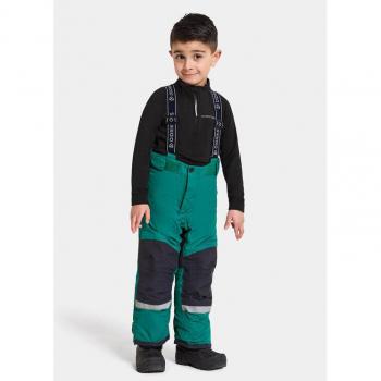 Didriksons Pantaloni Da Sci Green 90 Unisex