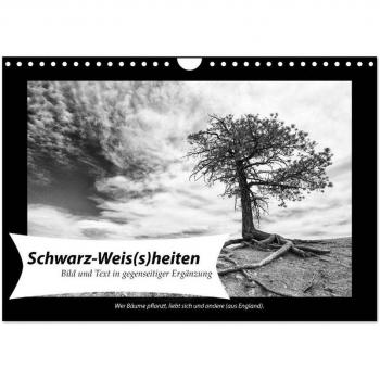 Schwarz-Weis(s)heiten (Wandkalender 2025 DIN A4 quer) CALVENDO Monatskalender