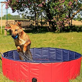 Piscinetta per Cani pieghevole in PVC 80 cm ø Altezza 20 cm