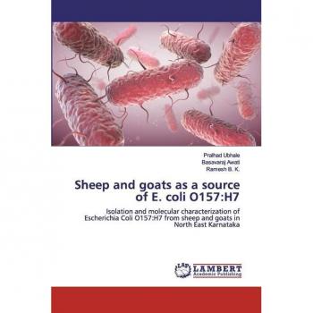 Sheep and goats as a source of E. coli O157:H7