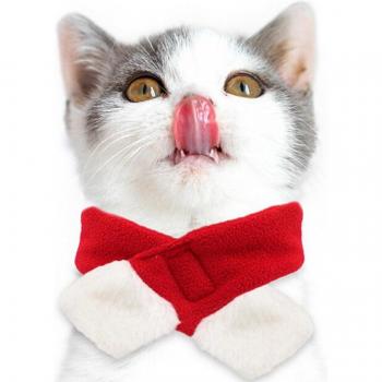 FestínAnimal Neón de Navidad