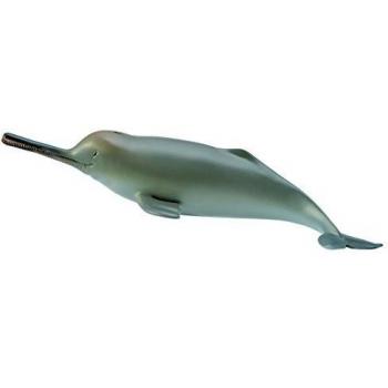 Collecta