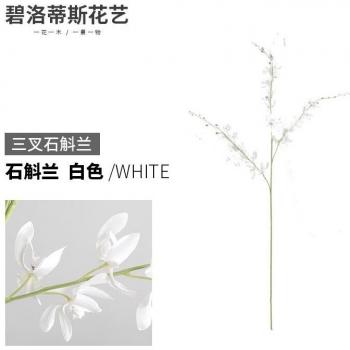 European Trigeminal Dendrobium Floral Decor