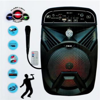 Sistema Audio Portatile Karaoke con Radio e Microfono