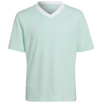 Adidas Clear Mint and White Entrada 22 Kids Training Top