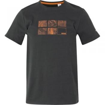 Men's Ash Breezed V-Tee by Regatta