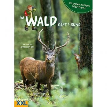 Im Wald Geht'S Rund