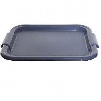 WHITEFURZE 49cm Silver Rectangular Tray