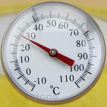 CafeTemp Elite Thermometer