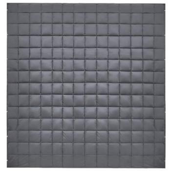 KINGCAMP Picknickdecke Smart 1100 Camping Strand Matte Leicht Reise Farbe: Slate Grey