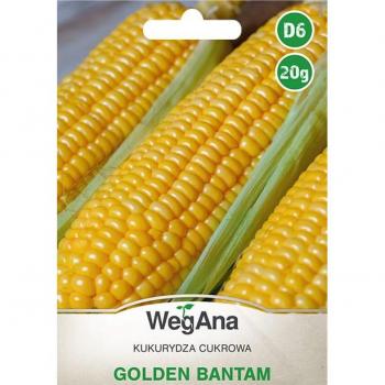 Maïs Sucré Golden Bantam 20g