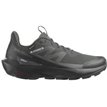 Zapatillas de trekking Salomon Elixir Activ GORE-TEX hombre negro