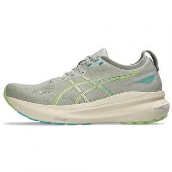 ASICS Men's Gel-Kayano 31 Running Shoe