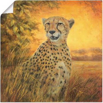Gepard Wandbild in verschiedenen Größen