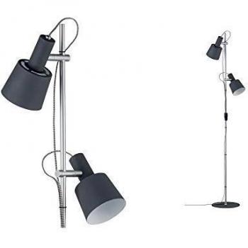 Haldar 2-Light Floor Lamp by Paulmann