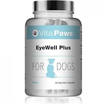 OeilSérum Pour Chiens