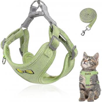 Juego de arnés y plomo para gatos