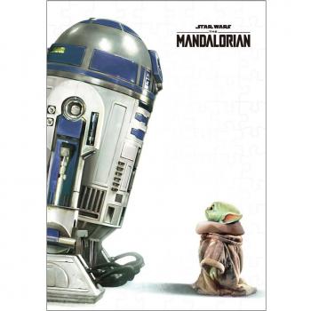 Star Wars R2‑D2 & Grogu puzzel – 108 blokjes, Japanse kwaliteit