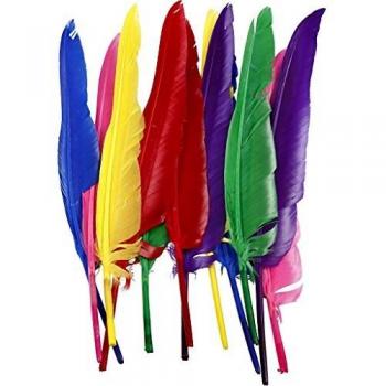 Plumes L, 27 cm, assortiment de couleurs, 12 pièces