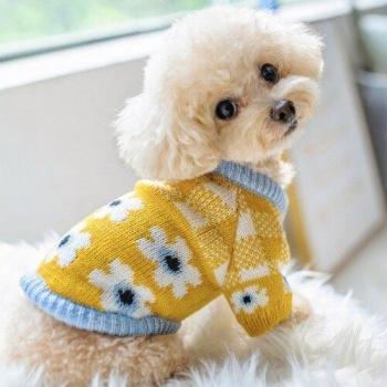 Warm Knitted Dog Coat