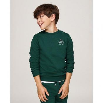 Camiseta Infantil Hilfiger sin Capucha y cuello redondo