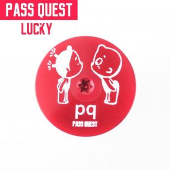PASS QUEST 1-1/8 Fork Compatible Headset