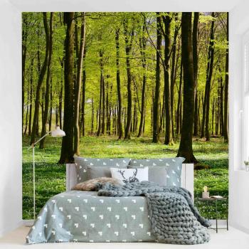Paratoile 3D Foresta Quadrato 288 cm