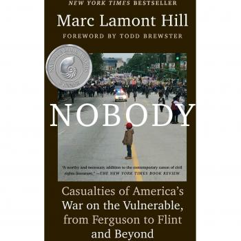 Nobody: Casualties of America's War on the Vulnerable, from Ferguson to Flint and Beyond