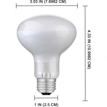 BENE Turtle Heating Lamp
