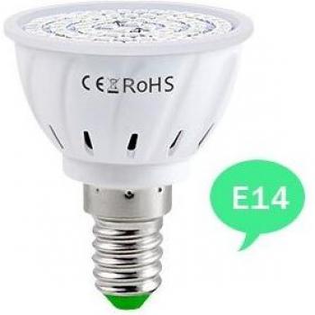 Phytolux B22 – LED hydroponic 220 V, lumière de développement plantier