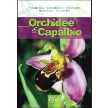 Orchidee di Capalbio