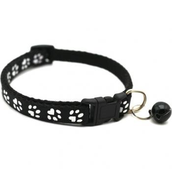 Collar Unisex Nailon con Hebilla