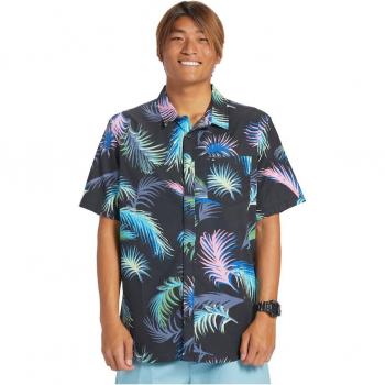 Top Tropical Q-Silver