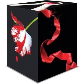 The Twilight Saga Collection Box Set: Twilight / New Moon / Eclipse / Breaking Dawn