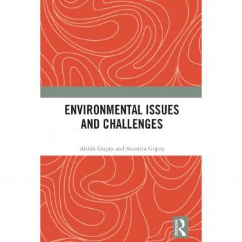 Vitalsource Technologies, Inc. Environmental Issues and Challenges