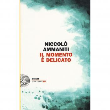 MOMENTO Ã DELICATO (IL)