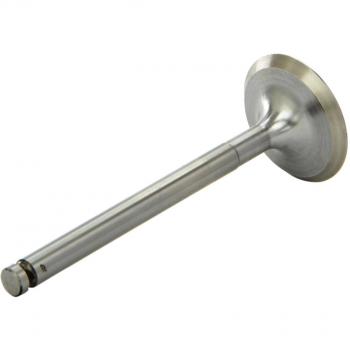 AE V91300 Engine Parts Inlet Valve