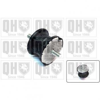 Ajustador Elástico de Transmisión BMW EM2574